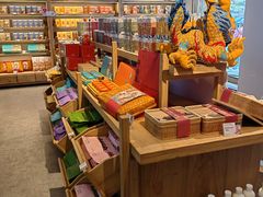 -长春堂顺时而饮(前门店)
