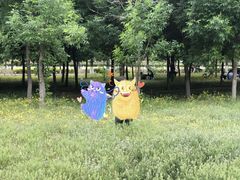 -东坝千亩湖公园