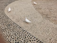 -黑石礁公园