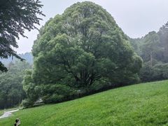 -生态园山庄(森林公园店)