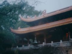 -普陀山风景名胜区-法雨禅寺