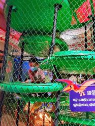 -恐龙探索乐园(磁器口店)