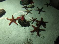 -福州罗源湾海洋世界旅游区