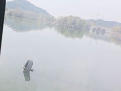 -茗醉园茶楼