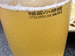 -福苗小骆驼烧烤(莲湖路店)