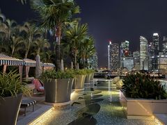 -新加坡文华东方酒店