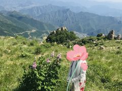 -白草畔自然风景区