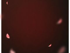 -百年义利(通州北苑南路店)