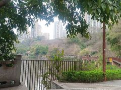 -重庆彩云湖湿地公园