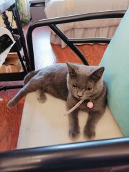 -Miss·A日式美甲美睫