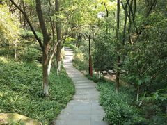 -杭州半山国家森林公园