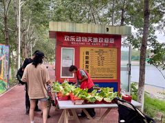 -水上乐园·欢乐世界