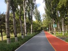 -大兴滨河森林公园