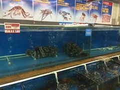 -御唐府海珊瑚主题餐厅