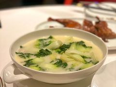 白菜仔-东富酒家(龙湖西溪天街店)