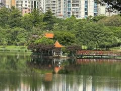 -深圳龙潭公园