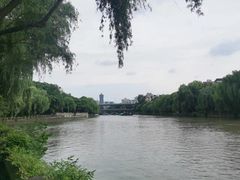 -运河游船(武林门码头)