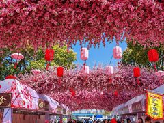 -南汇桃花村