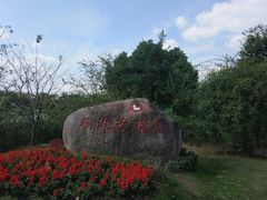 -鹅湖玫瑰文化园