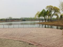 -东郊湿地公园
