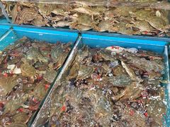 -盛华世家商业广场农贸水产综合批发市场