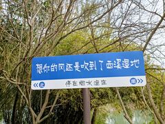 -西溪国家湿地公园