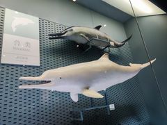 -浙江自然博物院(杭州馆)