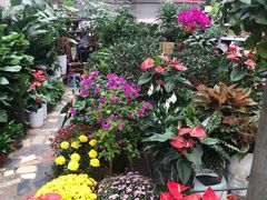 -秦美花卉(天朗·莱茵小城2期店)