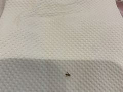 -一風堂拉面(港汇恒隆店)