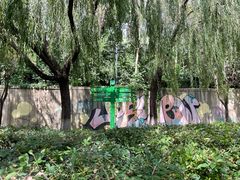 -长白岛森林公园