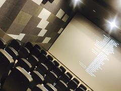 -奥斯卡国际影城(杜比全景声&4D激光店)