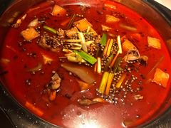 -宽口美蛙鱼头(大唐西市店)