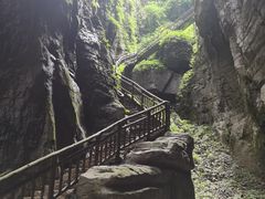 -武陵山森林公园