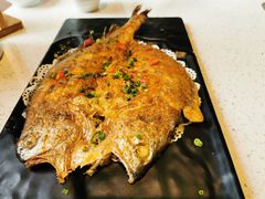 -九府羊·鲜羊火锅·烤串(新华路店)