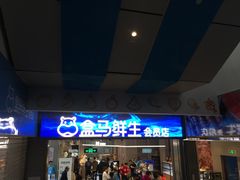 -盒马鲜生(莱蒙都会店)