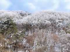 -秦岭风景区