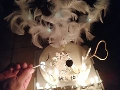 -锦时动物奶油蛋糕(茂业东方时代店)