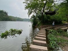 -重庆彩云湖湿地公园