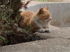 -贮水山儿童公园