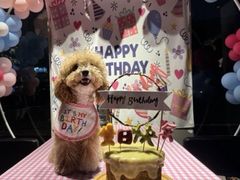 -百好乐宠物友好餐厅(朝外大街店)