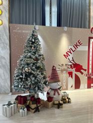 -深圳美莱医疗美容医院