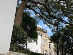 -上海佘山国家森林公园西佘山园