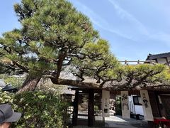 -三千院