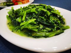 蒜泥空心菜-石湖大酒店(桐泾店)