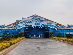 -石家庄极地海洋世界
