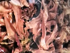 -金海湾海鲜总店