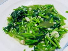 -全乐鱼馆·淳牌有机鱼直营店