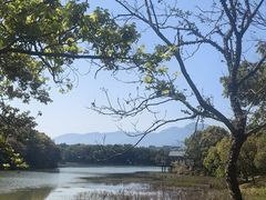 -福建鲤鱼洲酒店