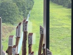 -五家山森林公园滑雪场