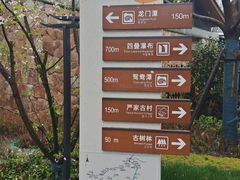 -石台牯牛降景区